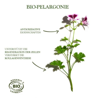 Sanoflore Creme Merveilleuse 40 Ml 4 Sanoflore Creme Merveilleuse 40 Ml – Bild 4